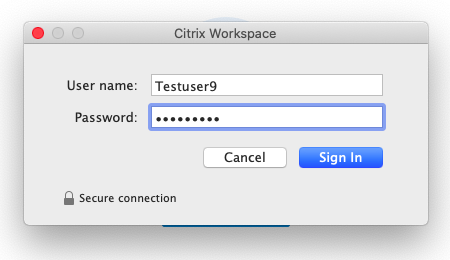Citrix Workspace For Mac Catalina Download